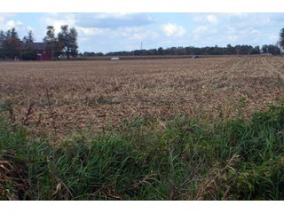 Property photo 33 - EHLE FARMS AUCTION - 118+/- ACRES IN 9 TRACTS IN ALLEN COUNTY, INDIANA